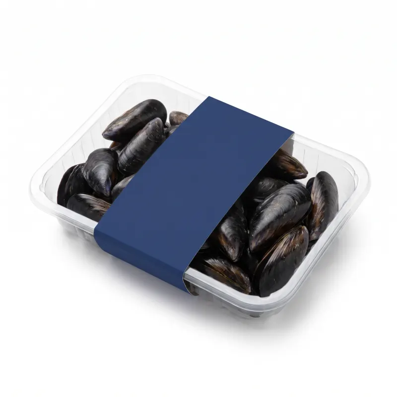Mejillones