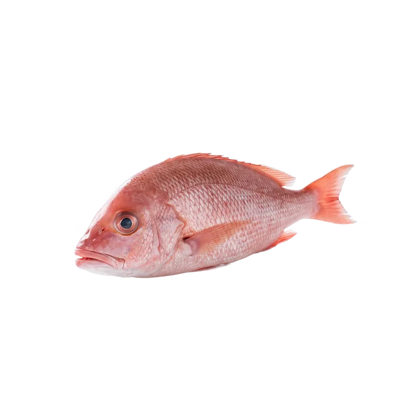 Pargo rojo entero