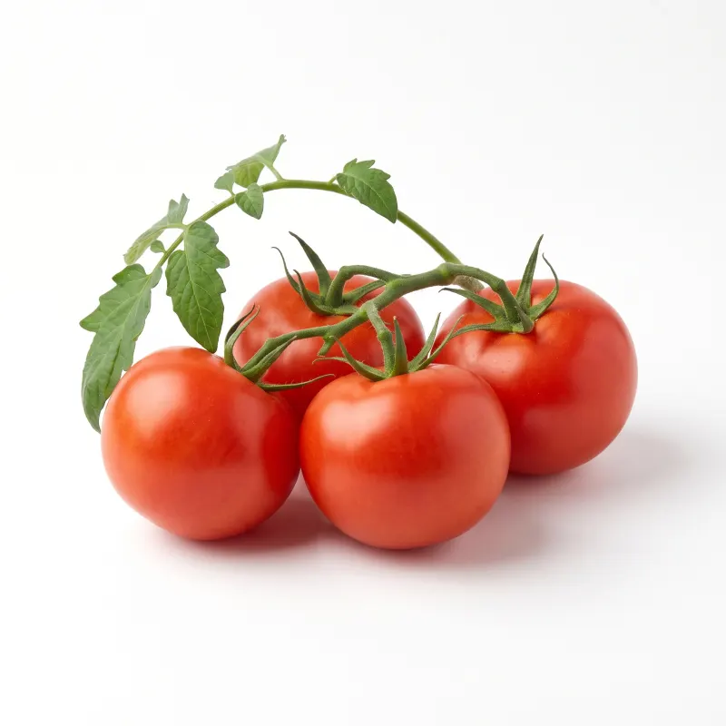 Tomate